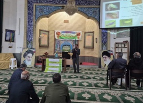 آموزش شناسایی و کنترل زنجره مو با تأکید بر مدیریت تلفیقی آفات