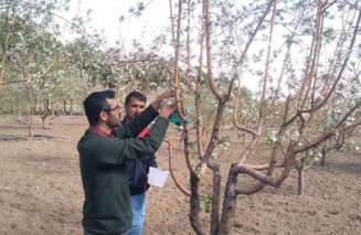 بازدید مزارع و باغات ایستگاه تحقیقات کشاورزی میامی