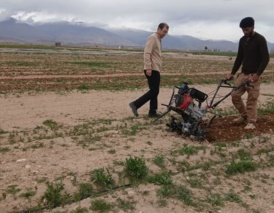 آغاز عملیات نگهداری و مراقبت از نهالستان مرکز تحقیقات کشاورزی و منابع طبیعی شاهرود