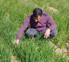 نظارت بر مزارع تولیدکننده بذر در ایستگاه تحقیقات کشاورزی دامغان جهت مقابله با تنش‌های محیطی