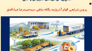 ارائه راهکارهای فنی برای کاهش ضایعات در زنجیره تأمین از باغ تا مصرف