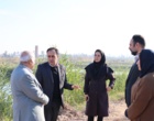 محمد صدیق مرتضوی، رئیس مؤسسه تحقیقات علوم شیلاتی کشور از پژوهشکده آبزی‌پروری آب‌های جنوب کشور بازدید کرد.