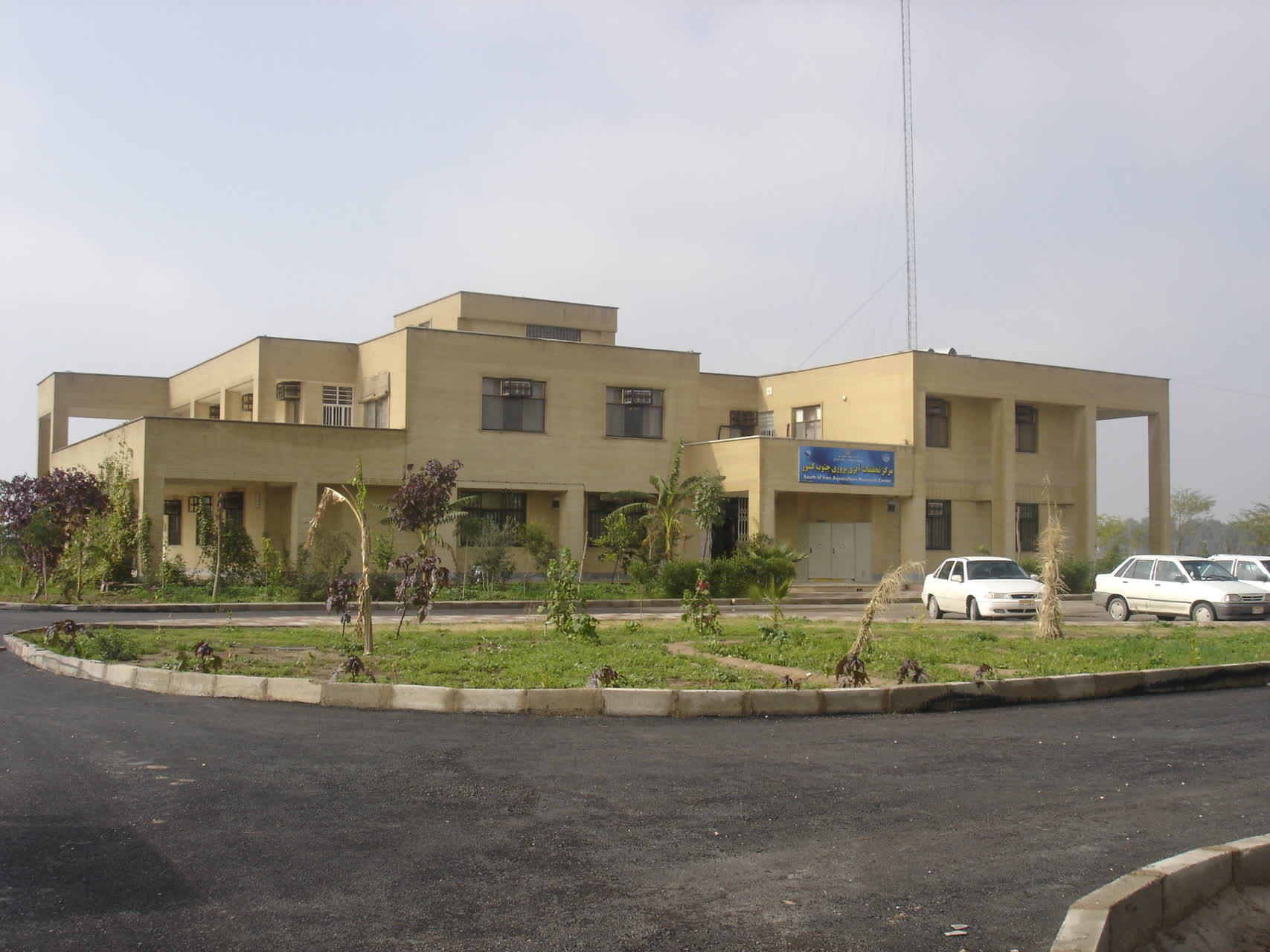 تاریخچه