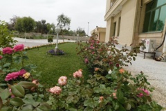 فضای سبز مرکز