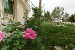 فضای سبز مرکز