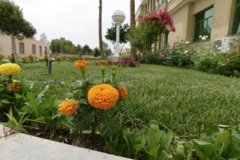 فضای سبز مرکز