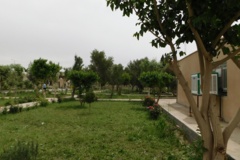 فضای سبز مرکز