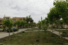 فضای سبز مرکز