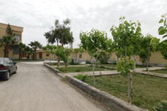 فضای سبز مرکز