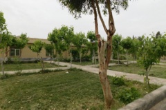 فضای سبز مرکز