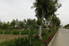 فضای سبز مرکز