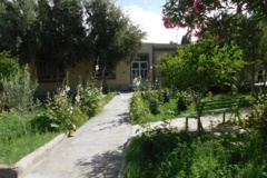 فضای سبز مرکز