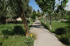 فضای سبز مرکز