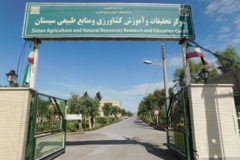 فضای سبز مرکز