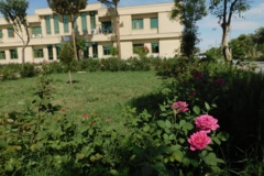 فضای سبز مرکز