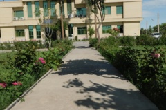 فضای سبز مرکز