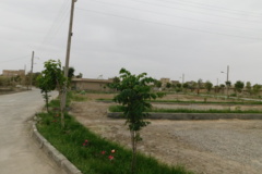 فضای سبز مرکز