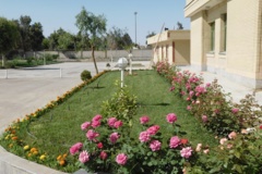 فضای سبز مرکز