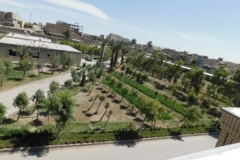 فضای سبز مرکز