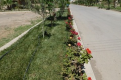 فضای سبز مرکز