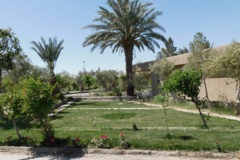 فضای سبز مرکز