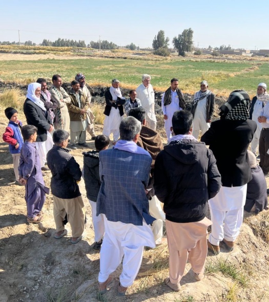 برگزاری دوره کشاورزی حفاظتی اصلاح خاک های شور و توسعه کشت های مکانیزه به مناسبت روز جهانی خاک در شهرستان هیرمند