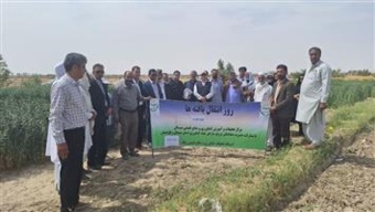 برگزاری مراسم روز انتقال یافته‌های گلرنگ علوفه‌ای در ایستگاه تحقیقات زهک