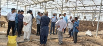 برگزاری دوره آموزش کاربردی و عملی در حوزه بسترهای کاشت محصولات گلخانه ای در سیستان