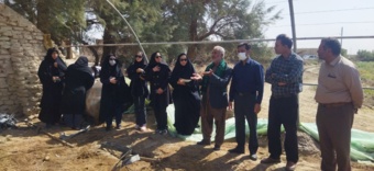 ارائه الگوی بهینه مدیریت برای توانمند سازی بهره برداران کشاورزی منطقه سیستان