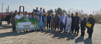 برگزاری دوره نخصصی آماده سازی بستر و ضد عفونی بذر گندم در هیرمند