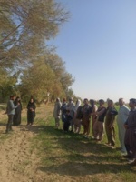 برگزاری دوره تخصصی مبارزه با آفات وبیماری های گندم ، گامی موثر برای ارتقای دانش کشاورزی