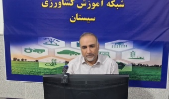 برگزاری  دوره آموزشی مدیریت برداشت و پس از برداشت گلرنگ