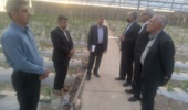 ارزیابی میدانی بزرگ‌ترین مجموعه گلخانه‌ای و ایستگاه تحقیقات گاو اصیل نژاد سیستانی در زهک