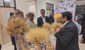برگزاری نمایشگاه دستاوردهای علمی و پژوهشی به مناسبت هفته پژوهش و فناوری