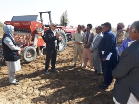 اجرای  طرح تحقیقی - ترویجی و آموزش اصولی کاشت گلرنگ در هیرمند ؛ گامی نو در بهبود عملکرد و معرفی  لاین های جدید