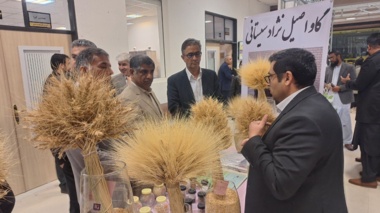 برگزاری نمایشگاه دستاوردهای علمی و پژوهشی به مناسبت هفته پژوهش و فناوری