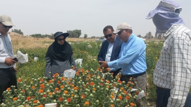 بازدید رئیس پژوهشکده کشاورزی پژوهشگاه زابل و رئیس جهاد کشاورزی زهک از ایستگاه تحقیقات و آموزش کشاورزی و منابع طبیعی زه