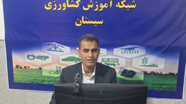 برگزاری دوره آموزشی مدیریت بهبود افزایش عملکرد سورگوم (شبکه آموزش کشاورزی سیستان در بسنر شاک )