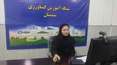 برگزاری دوره آموزشی مدیریت بیماری بوته‌میری؛ در گلخانه‌ و جالیز