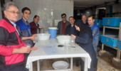 دستیابی به تکنیک حمل‌ونقل تخم های لقاح یافته و لارو تاسماهی شیپ پرورشی توسط محققین انستیتو تحقیقات بین المللی ماهیان خاویاری