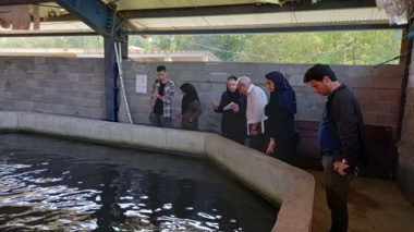 بازدید کارشناسان موسسه آموزش و ترویج سازمان از مزرع پرورش ماهی خاویار طلایی در راستای ارزیابی پروژه تحقیقی- ترویجی انستیتو