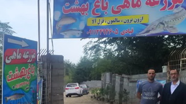 بازدید محققین معین انستیتو تحقیقات بین المللی ماهیان خاویاری از مزرع پرورش ماهی خاویاری باغ بهشت سرولات چابکسر