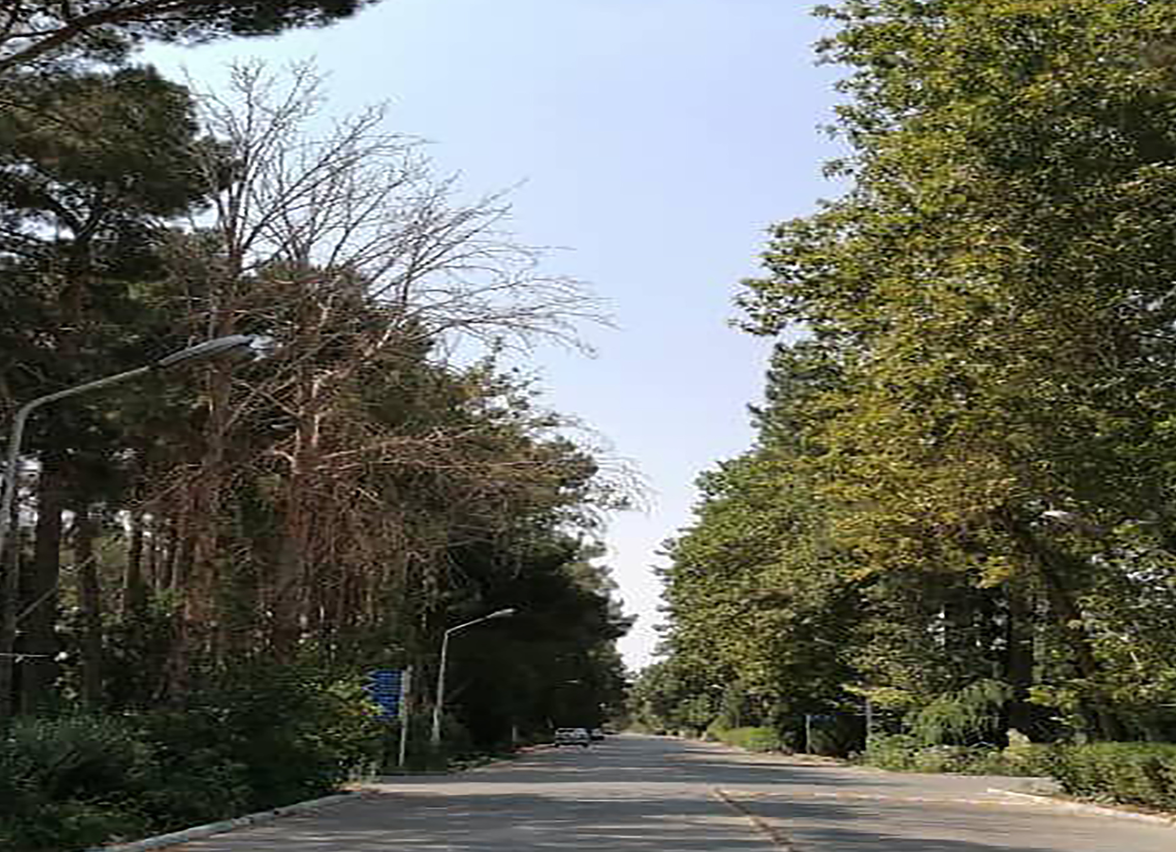 گالری ویدئو