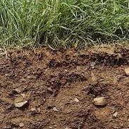 کارگاه  و دوره های آموزشی
