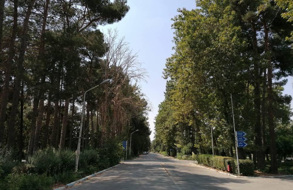 پیوندهای موسسه