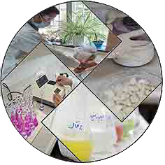 ارزیابی خطر نیترات در سیب زمینی، پیاز و خیار تولیدی کشور