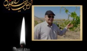 دکتر رحیم مطلبی‌فر، عضو هیأت علمی مرکز تحقیقات و آموزش کشاورزی و منابع طبیعی آذربایجان‌شرقی درگذشت