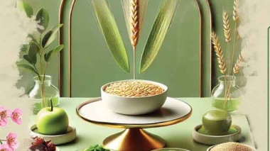 پیام تبریک نوروزی معاون وزیر و رئیس سازمان تات