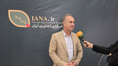 تأمین کود مورد نیاز بخش کشاورزی ضروری است