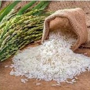 توصیه های کودی برنج
